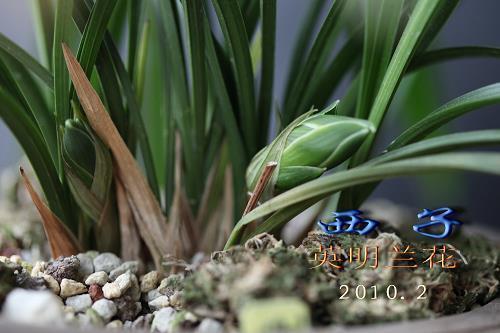 【精华】致生活不易的自己说说 累了的句子说说心情汇编83句