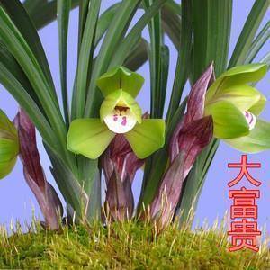 只有病一次才知道的说说(精选33句)