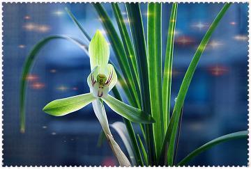 庆祝八一建军节祝福寄语(精选73句)