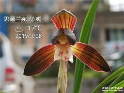 反对食品浪费宣传口号句子汇总40句