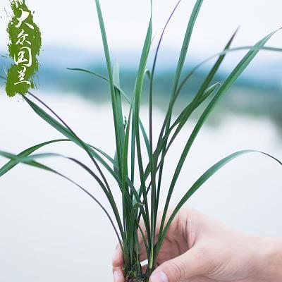 国庆节72周年句子(精选92句)