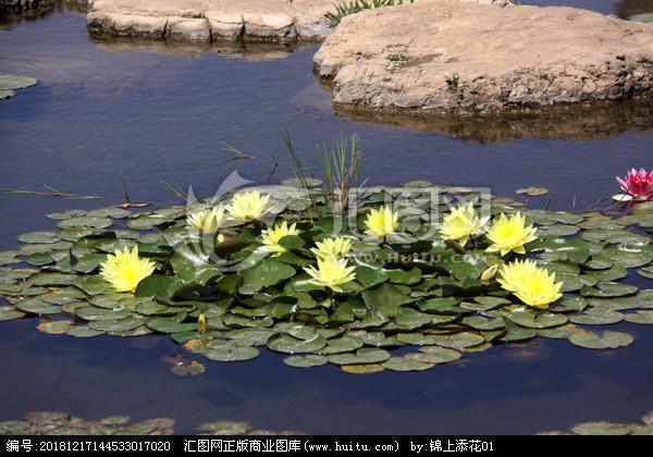 稍纵即逝