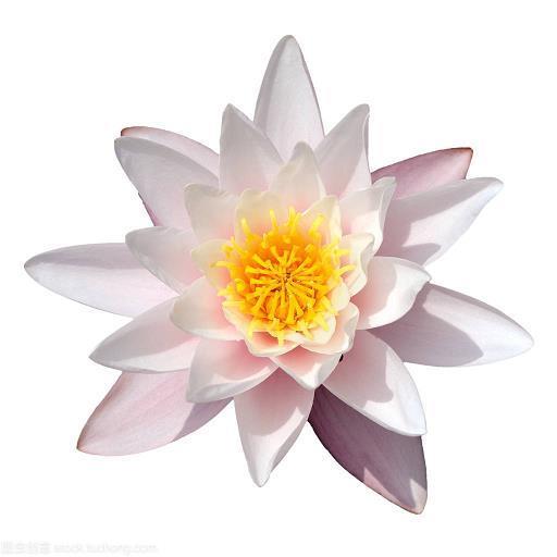 名不虚立