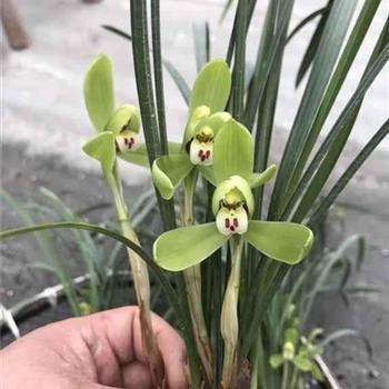 【推荐】谷雨时节优美短句汇编84句
