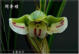 家庭伤感生活句子说说心情(精选75句)