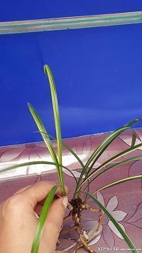 宝宝生日发圈的句子 孩子生日想发个朋友圈(精选45句)