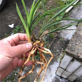 中考励志加油的简短句子大全