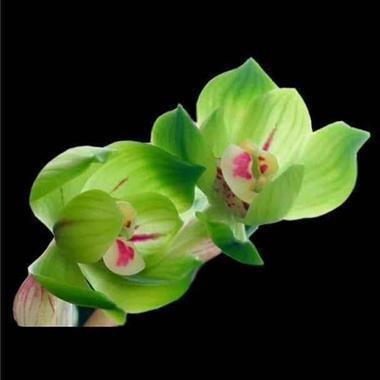 光棍节伤感说说大全 双十一伤感短语