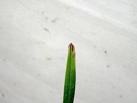 失去你以后从此一个人的说说(精选30句)