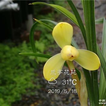 吃团圆饭开心的句子