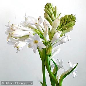 有些难过伤感的沮丧说说 释放压抑心情的心情说说
