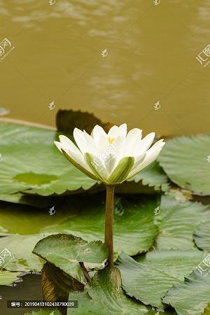 浩气凛然