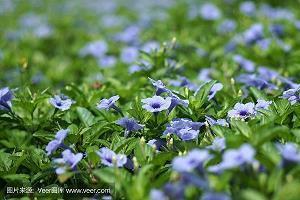 搞笑的愚人节节日说说大全85句