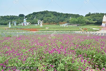 丢心落肠