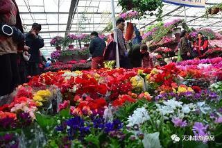 又是一次毕业季伤感说说25句
