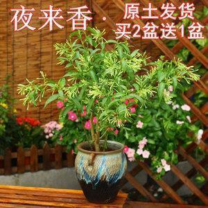 七夕走心告白情话2021大全(精选79句)