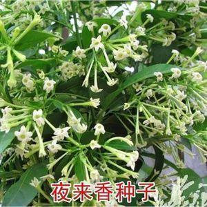 微信拍一拍搞笑后缀的句子