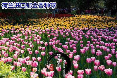 有关暑假的QQ说说心情大全