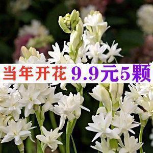 最新精选说说句子大全 有关下雨天早安问候语句子简短