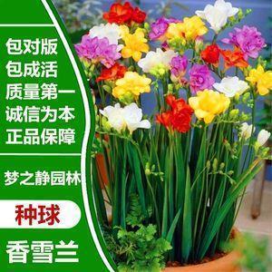 姐妹沙雕又可爱的朋友圈文案短句 闺蜜聚会发朋友圈的沙雕说说