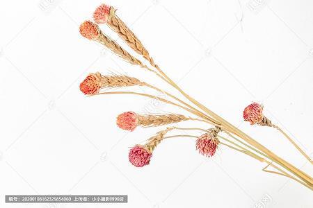 一差二误