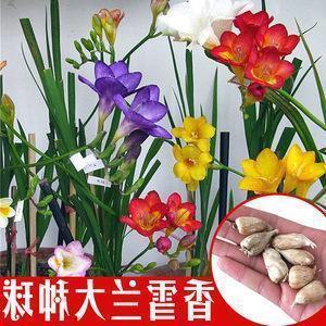关于开学的优美语句 开学季唯美句子18句