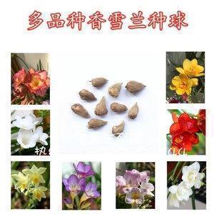 关于表示很无奈的说说发朋友圈(精选71句)