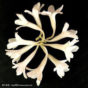 形容心情复杂的说说句子 关于心情复杂无法入睡的说说(精选16句)