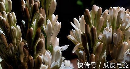 姐弟恋最感人的情话 姐弟恋表白句子精选合集34句