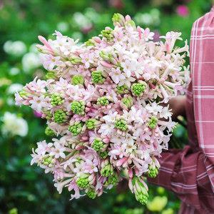 幼儿园教师节贺卡祝福语精彩(精选100句)