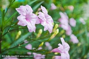 为运动健儿加油的话 奥运会优美句子(精选47句)