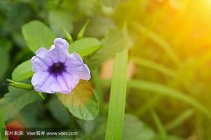 关于一个人很好的说说22句