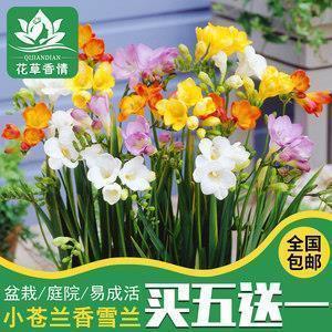 日系小清新文艺句子 朋友圈简短小清新文字