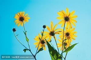 孤独伤感的古风句子 惊艳朋友圈的古风短句