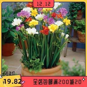你好2022年刷屏朋友圈句子(精选95句)