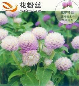 胆颤心寒
