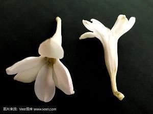 中秋节送祝福的句子