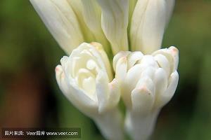 冷死了幽默句子 天冷了逗人的发朋友圈