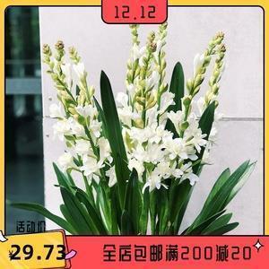 关于一大早就很热的说说句子(精选19句)