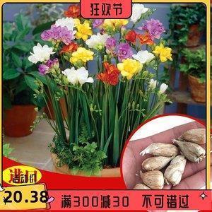 2021表达悲伤个性签名的句子20句