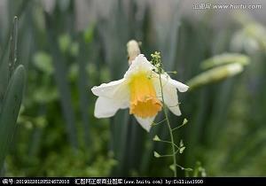 关于适合打疫苗发朋友圈说说 打新冠疫苗俏皮话