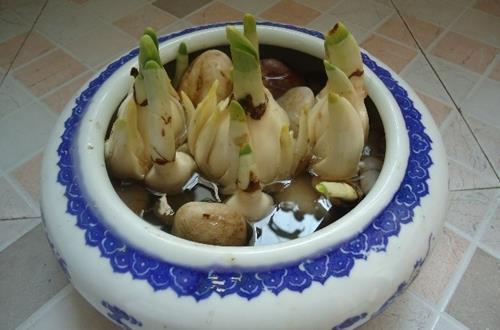 心里累怎么发朋友圈 一个人心累无助的说说(精选80句)