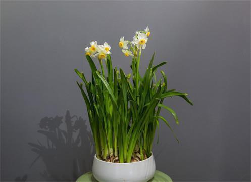 家庭烦恼压抑的短句 家庭琐事心烦的句子49句