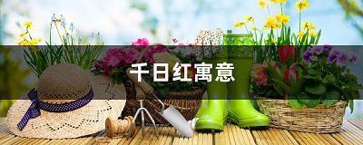 满园春色