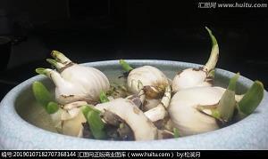 大暑节气经典祝福语摘抄20句