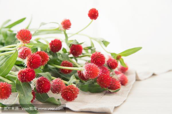 大江南北