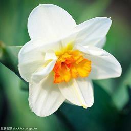 新年感悟朋友圈句子 新年感悟朋友圈