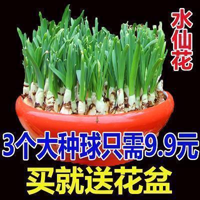 唯美语句淡淡忧伤短句