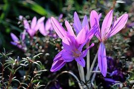 2021年中秋节简短的文案朋友圈说说(精选76句)