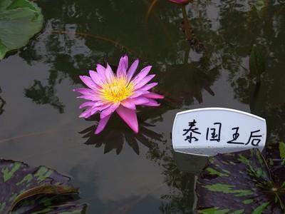 大义凛然